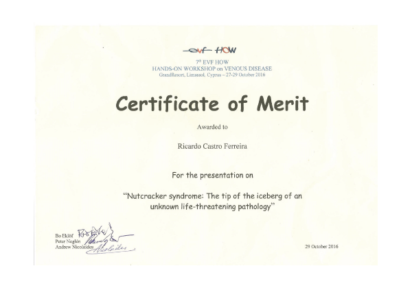 premio-certificate-merit.png